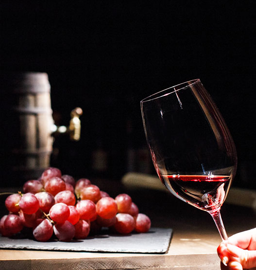 dégustation de vin